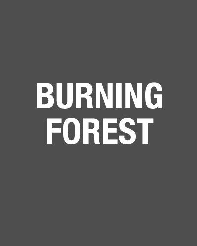 Decor: burningforest
